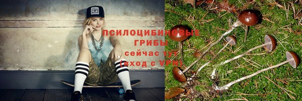 ГАЛЛЮЦИНОГЕННЫЕ ГРИБЫ Бугульма